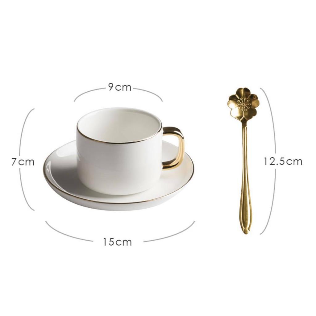 Set ly cafe ly dĩa muỗng - Trắng