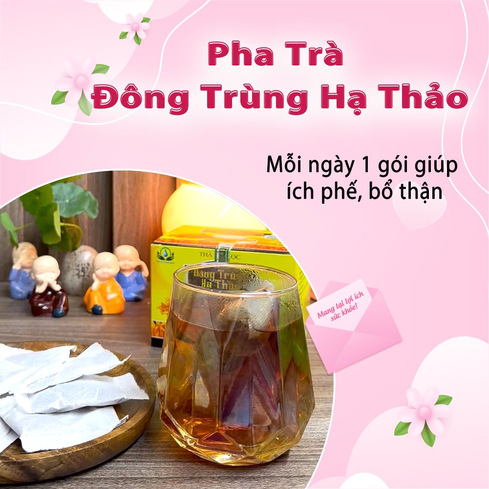 Trà Đông Trùng Hạ Thảo hộp 30 Túi Lọc x 3Gram giúp tăng cường miễn dịch, bổ thận của Siêu Thị Thiên Nhiên