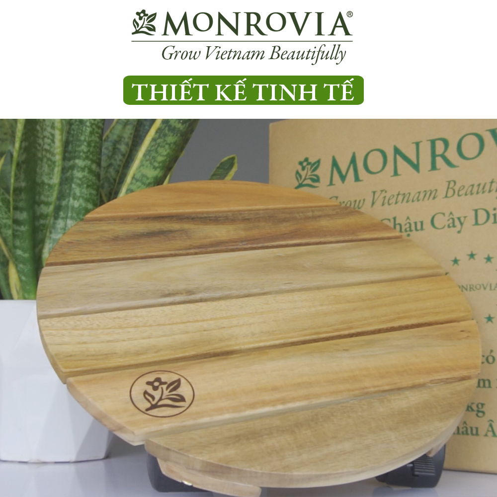 Đế lót chậu cây có bánh xe MONROVIA, đế để chậu cây, kệ chậu cây do động, có bánh xe, mặt tròn hoặc vuông bằng gỗ tràm cao cấp loại 1, trên 10 năm tuổi, màu vàng đường kinh 30 cm, chính hãng thương hiệu MONROVIA
