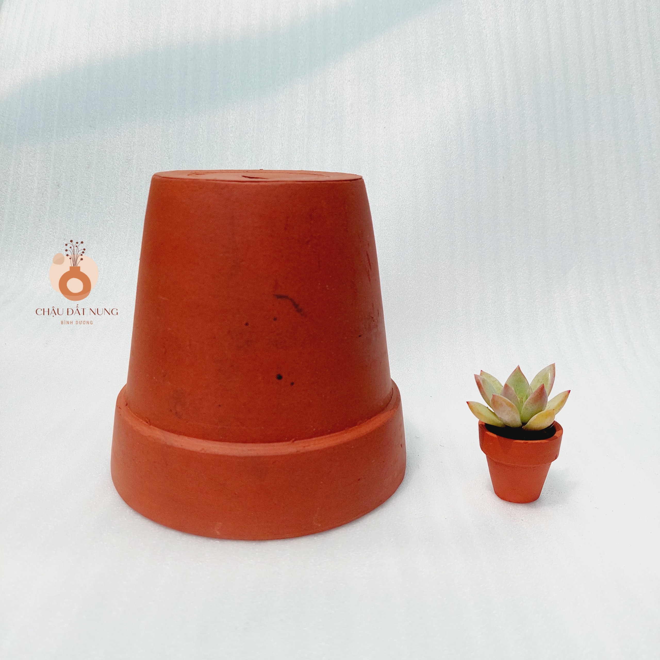 Chậu đất nung, chậu sen đá - Ly gờ 1414, miệng châu 14-18.5cm chiều cao 14-16cm