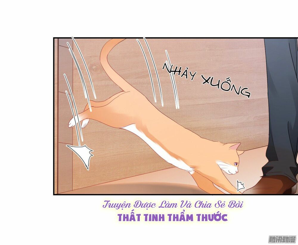 bay qua thiên sơn đến yêu anh chapter 20 40