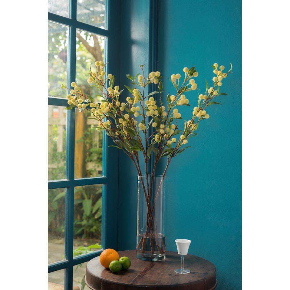 HD8714_Hoa vải Hoa Mimosa Khloris