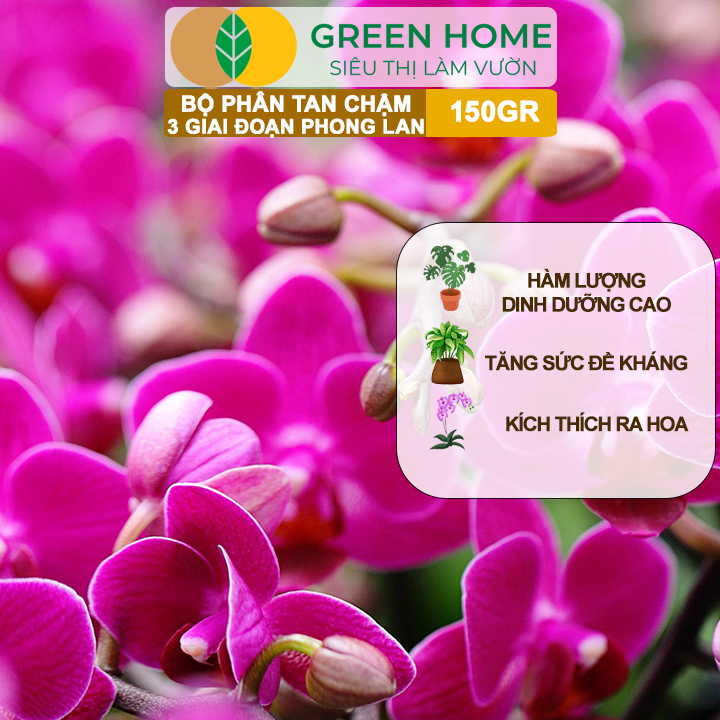 Bộ 3 Phân Tan Chậm Greenhome, Rynan 200-210-220 Chuyên Phong Lan 3 Giai Đoạn Dưỡng Cây Con, Kích Hoa, Sau Ra Hoa