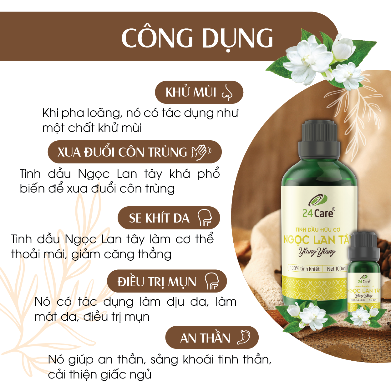 Tinh Dầu Ngọc Lan Tây 24Care 100ml - Tinh Dầu Ylang Ylang Xông Phòng Giúp Ngủ Ngon, Giảm Căng Thẳng, Đau Đầu, Đau Nhức Xương Khớp, Khử Khuẩn và Thơm Phòng