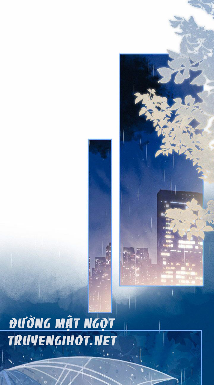 nỗi buồn của hoa cẩm tú cầu chapter 49 15