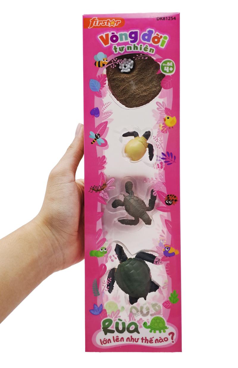 Đồ Chơi Mô Hình Vòng Đời Tự Nhiên - Rùa Lớn Lên Như Thế Nào? - Firstar DK81254