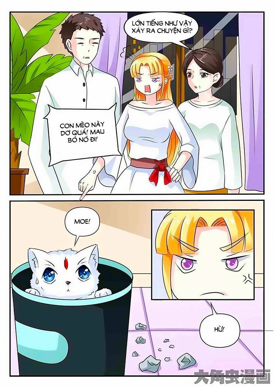 mau lấy con mèo đó ra chapter 3 6