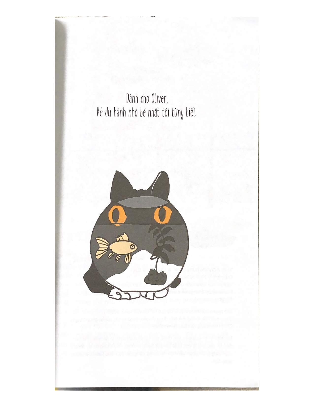 Mèo Con Phiêu Lưu Ký