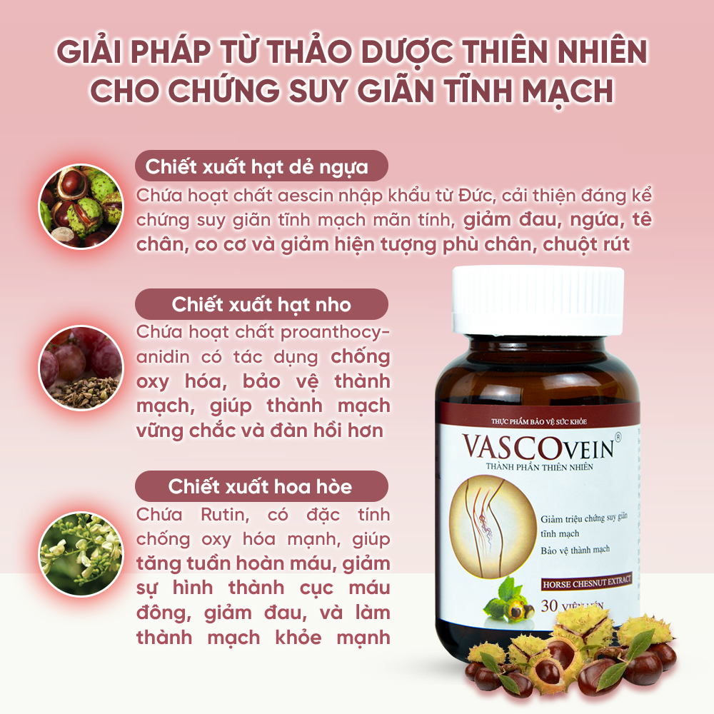 Liệu Trình Cải Thiện Suy Giãn Tĩnh Mạch Vascovein Giảm Đau Và Làm Mờ Gân Xanh Do Suy Giãn Tĩnh Mạch