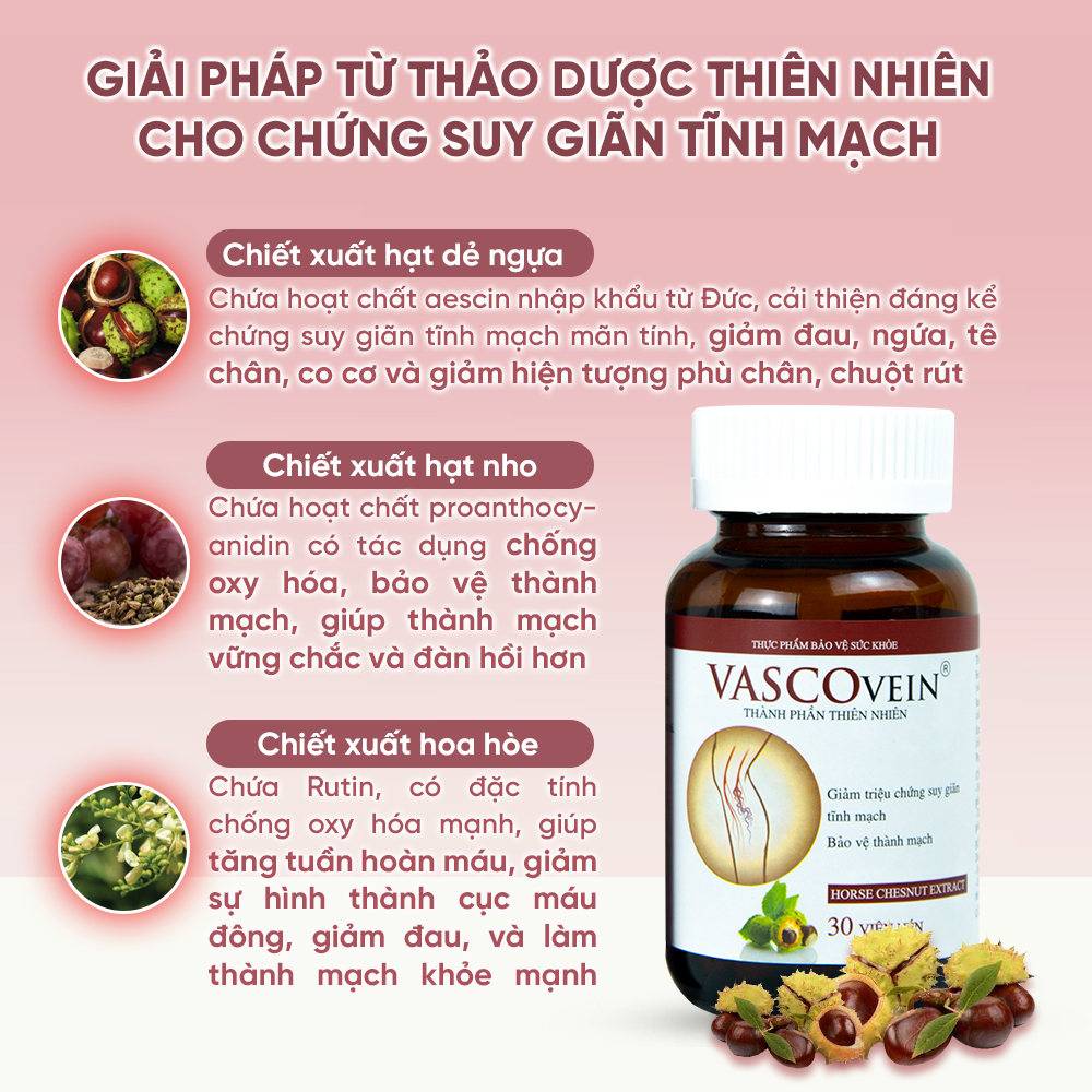 Liệu Trình Cải Thiện Suy Giãn Tĩnh Mạch Vascovein Giảm Đau Và Làm Mờ Gân Xanh Do Suy Giãn Tĩnh Mạch (3 Hộp Viên Uống + 1 Tuýp Kem)