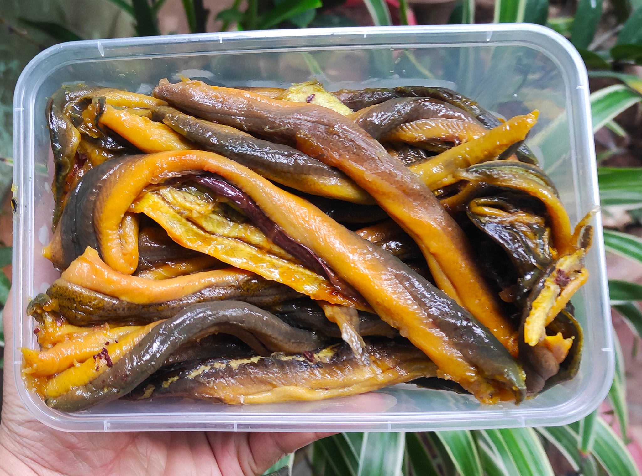 [Chỉ giao HN] - LƯƠN CHÁO (LƯƠN ĐỒNG XỨ NGHỆ) - gói 250g