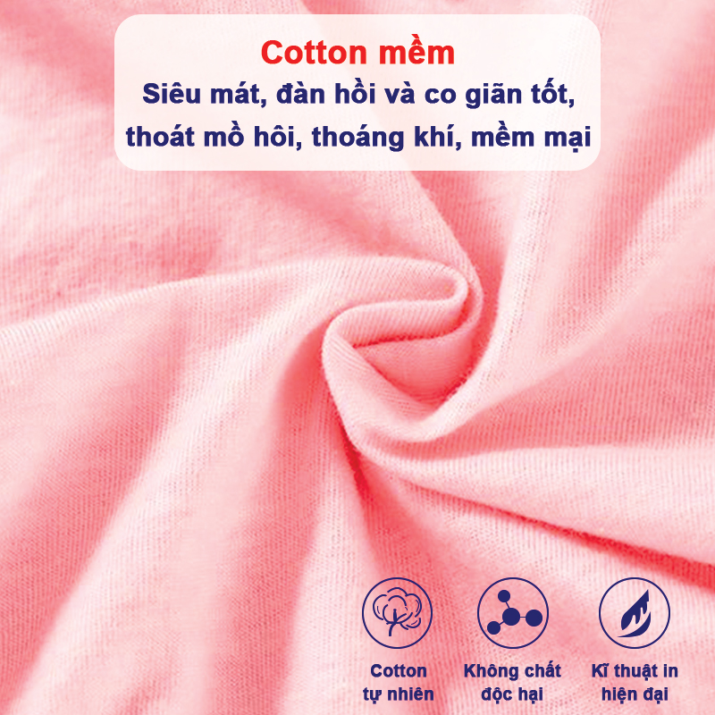 Set 5 quần chip kháng khuẩn cho bé gái, Hộp 5 quần lót cho bé gái 1-12 tuổi xuất Hàn cao cấp chất cotton Baby-S - SC024