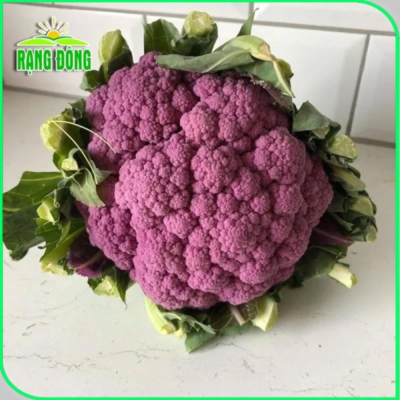 Hạt giống Bắp Cải - Bông Cải (Súp Lơ) sinh trưởng khỏe, phù hợp khí hậu nóng - Hạt giống Rạng Đông