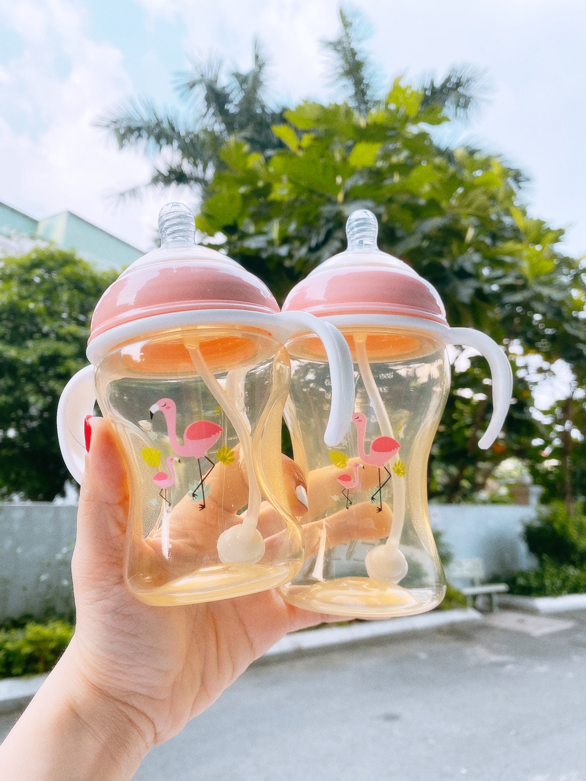 Bình Sữa Loluli PP Cổ Rộng Chống Sặc Cho Bé Chính Hãng - 300ml