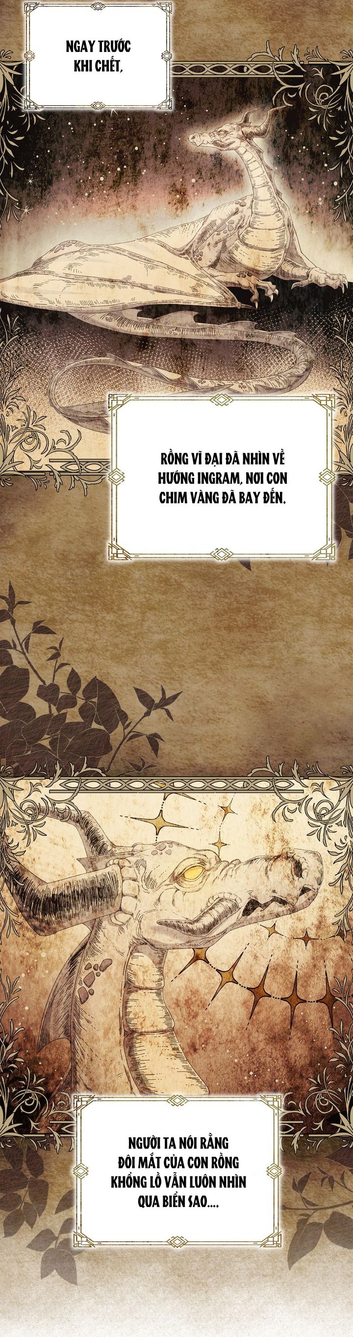 giải mã bí mật về anh ta chapter 38 13