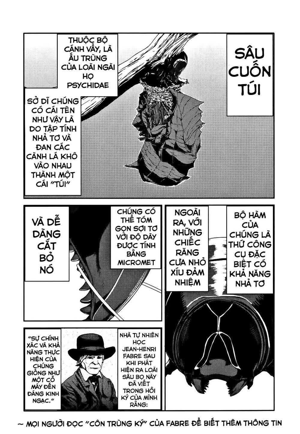 caterpillar chapter 14 9