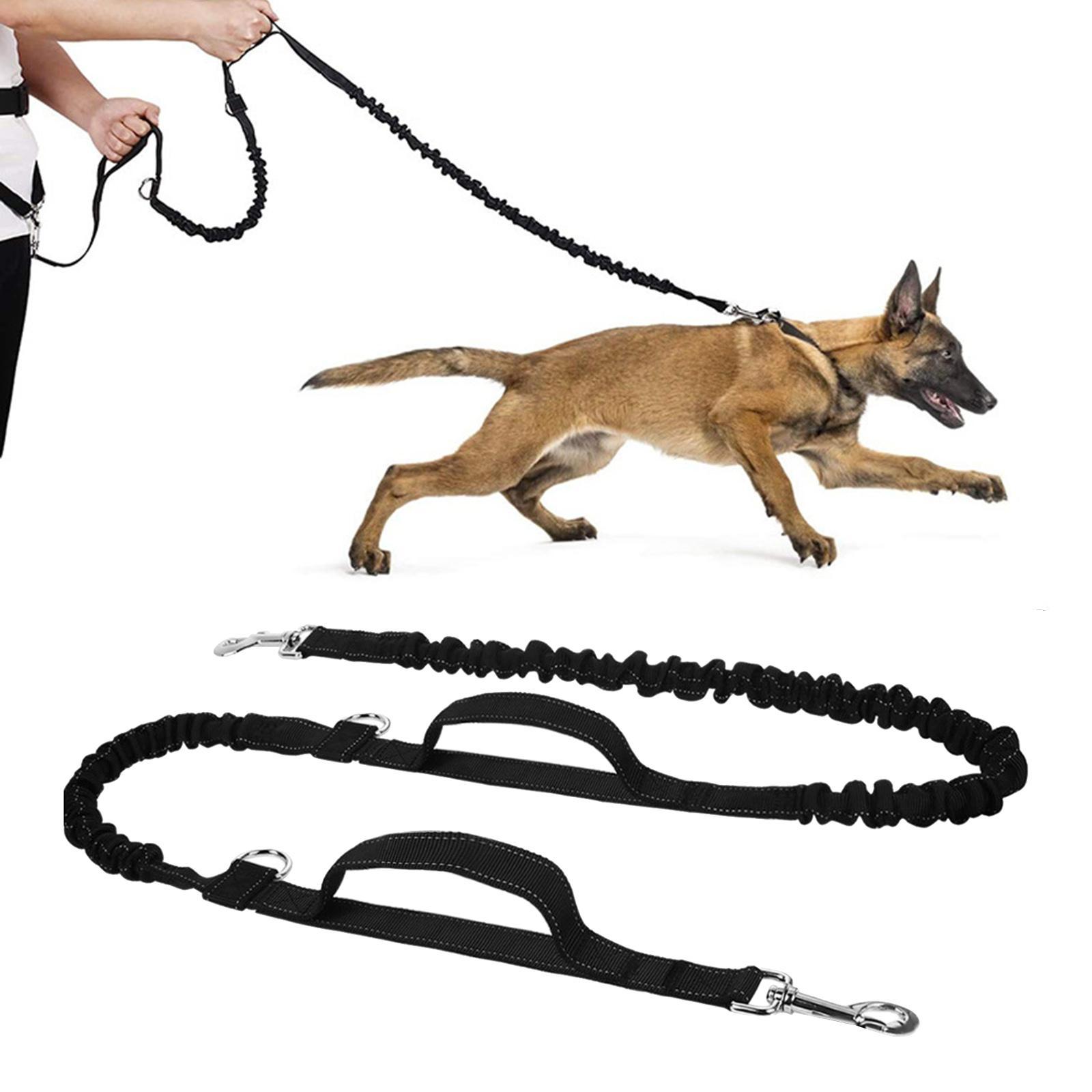 Hands  Leash Running Waist Belt Pet Walking Elastic Leashes+Bag