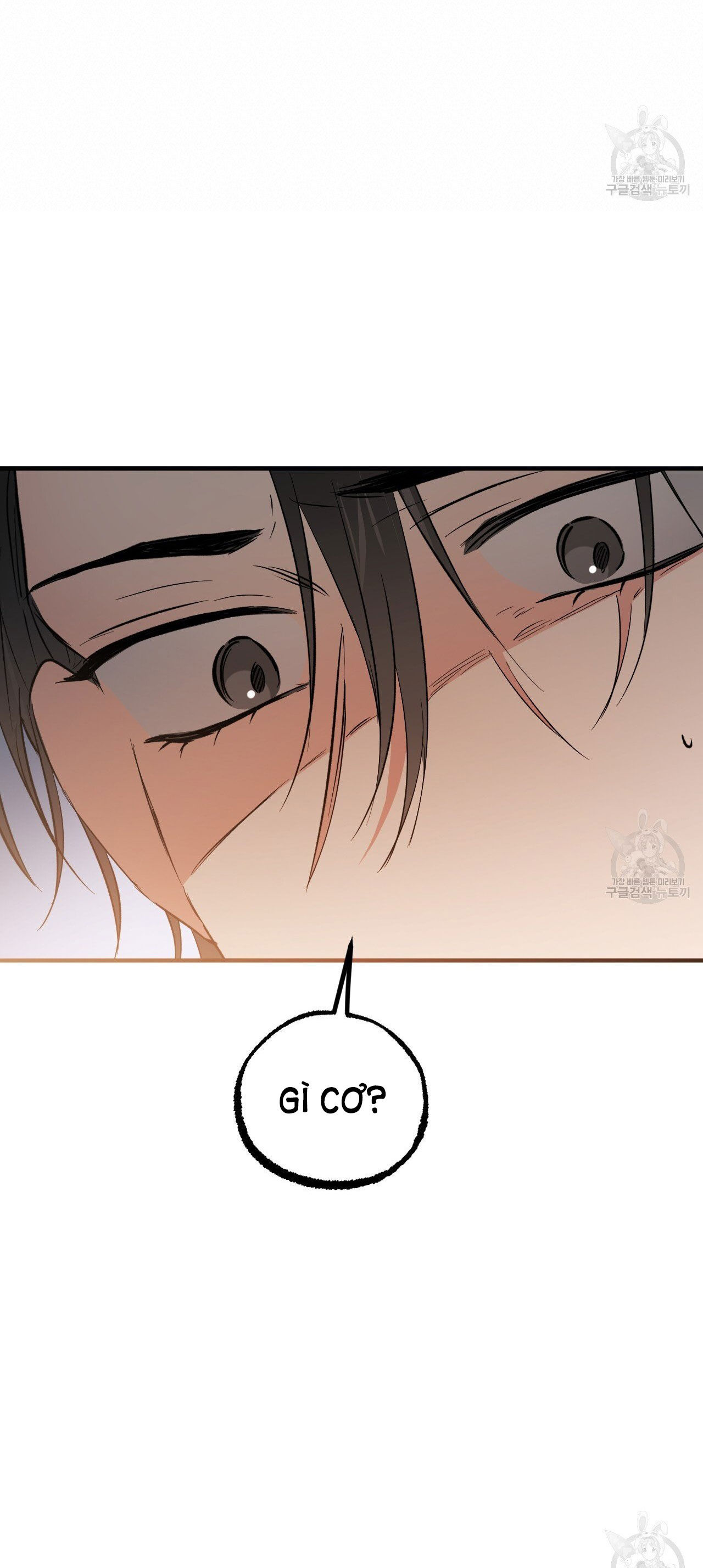 những chú thỏ của hapypy chapter 62.2 29