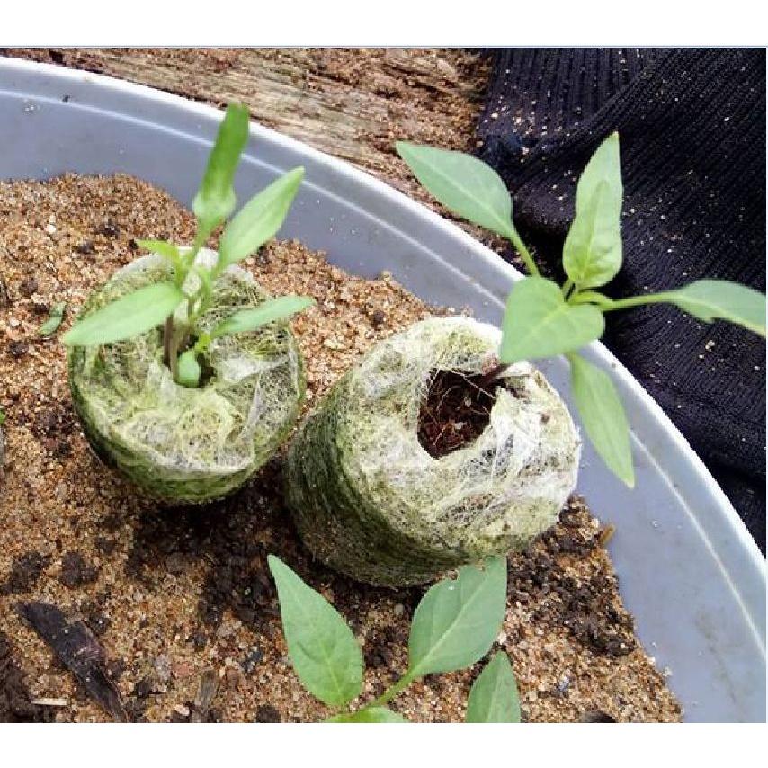 Bộ 20 viên nén sơ dừa ươm hạt giống - giâm cành