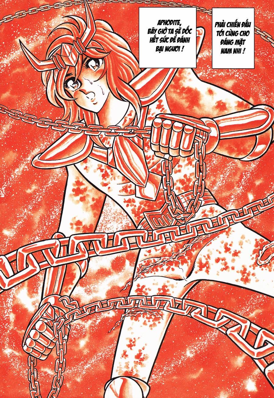 áo giáp vàng chapter 43 21