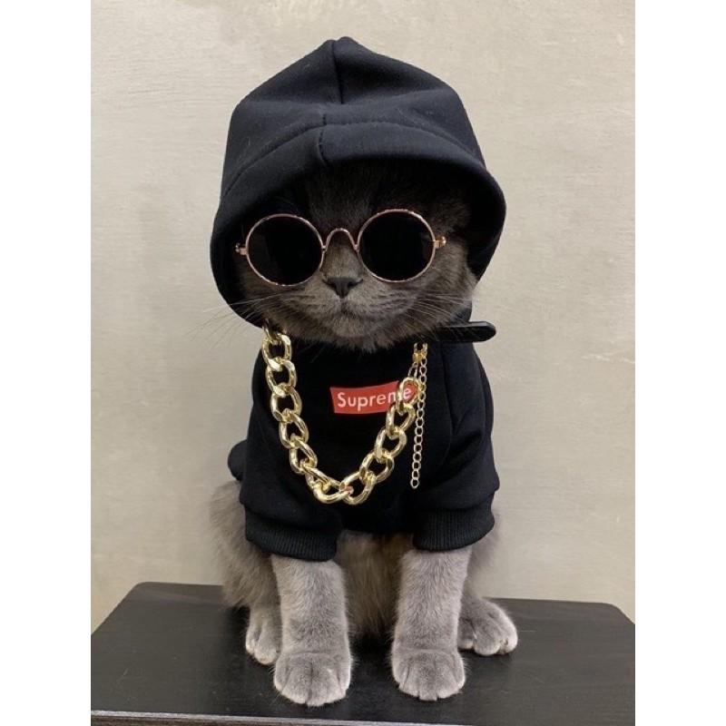 Phụ kiện kính đeo thời trang cho chó mèo