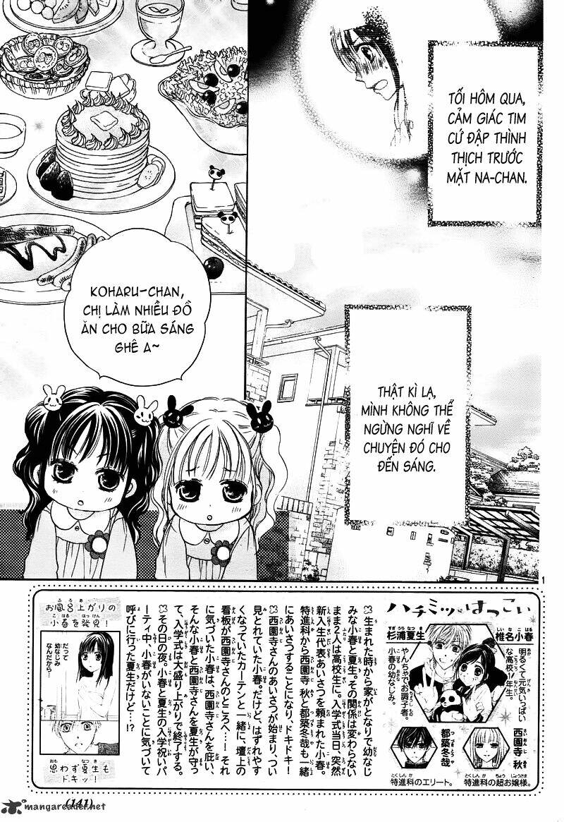 hachimitsu ni hatsukoi chapter 2 4