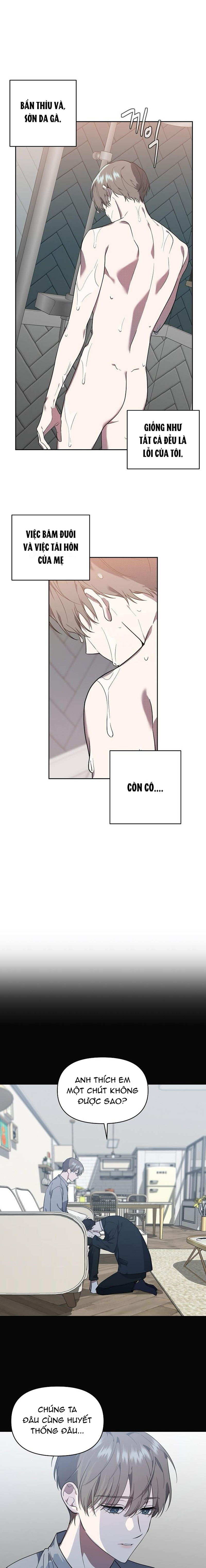 marigold dilemma chapter 2 7