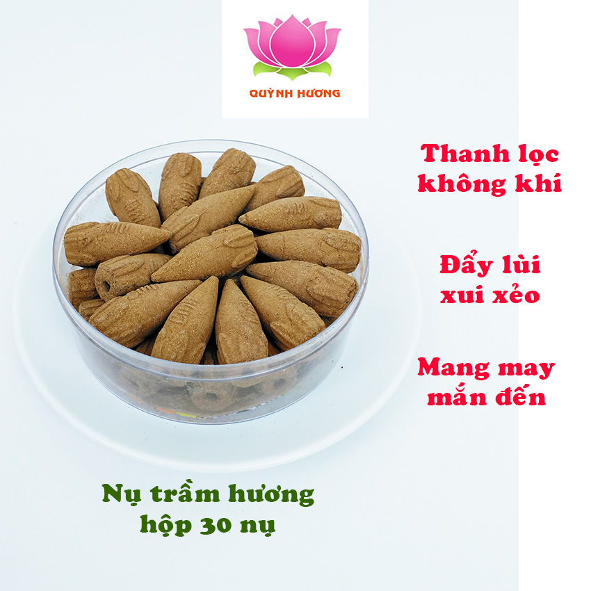 Nụ trầm nguyên chất QUỲNH HƯƠNG hộp 32 nụ