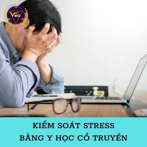 Khóa Học Video Kiểm Soát STRESS Bằng Y Học Cổ Truyền - Trung Tâm Chăm Sóc Sức Khỏe VMC