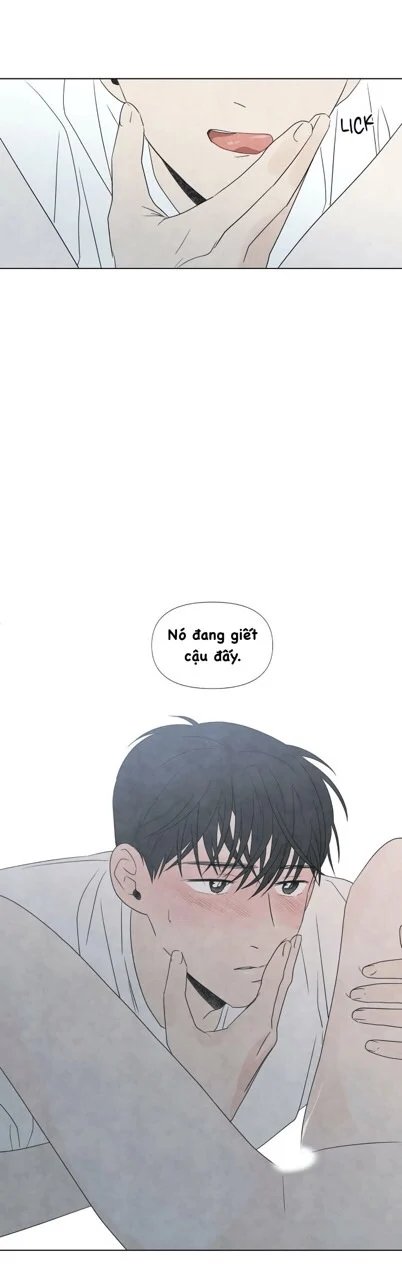 summer solstice point chapter 14 12