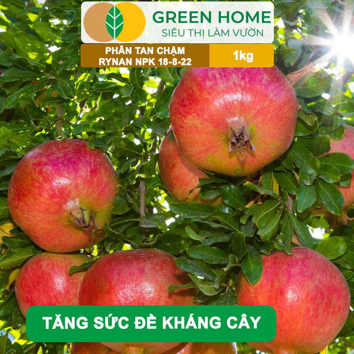Phân Tan Chậm GreenHome, Rynan NPK 18-8-22, Túi 1kg, Dùng Cho Cây Ăn Trái,Cây Lâu Năm Phục Hồi Nhanh