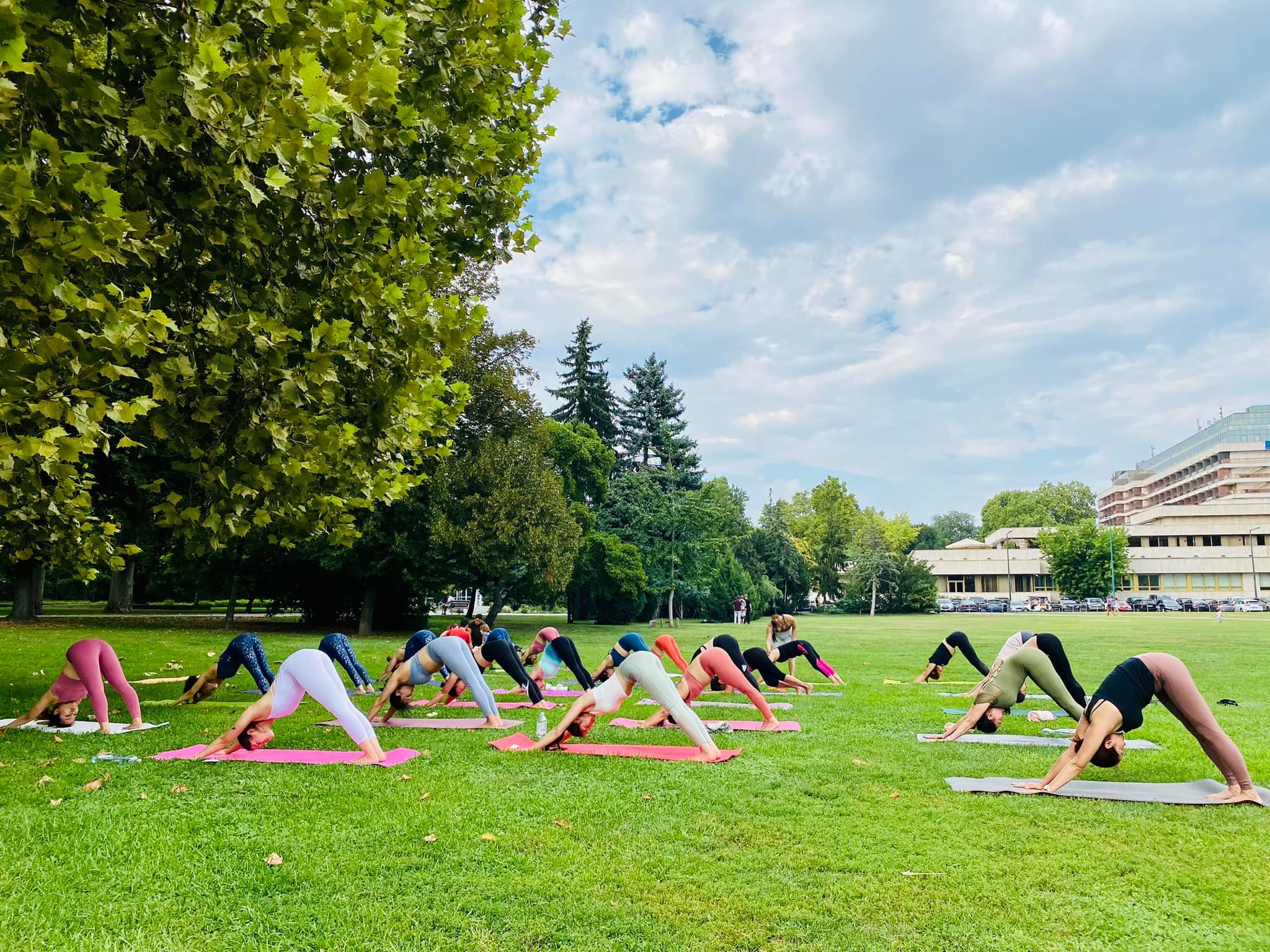 THẢM TẬP YOGA, GYM 2 LỚP CAO CẤP CHỐNG TRƯỢT + TÚI ĐỰNG THẢM TẬP YOGA + DÂY BUỘC CHUYÊN DỤNG - CHÍNH HÃNG DODODIOS