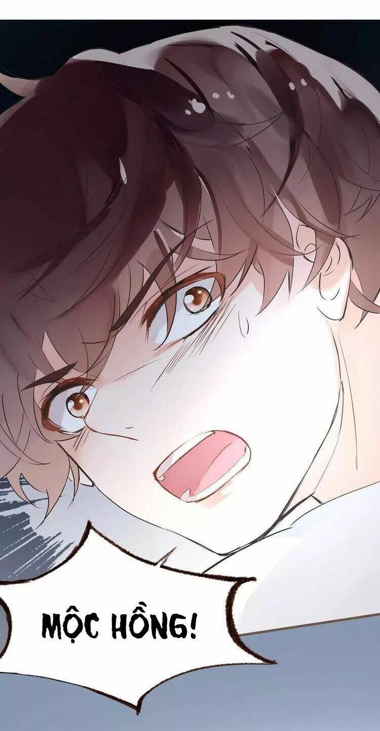 nở rộ trên bụi gai chapter 47 49