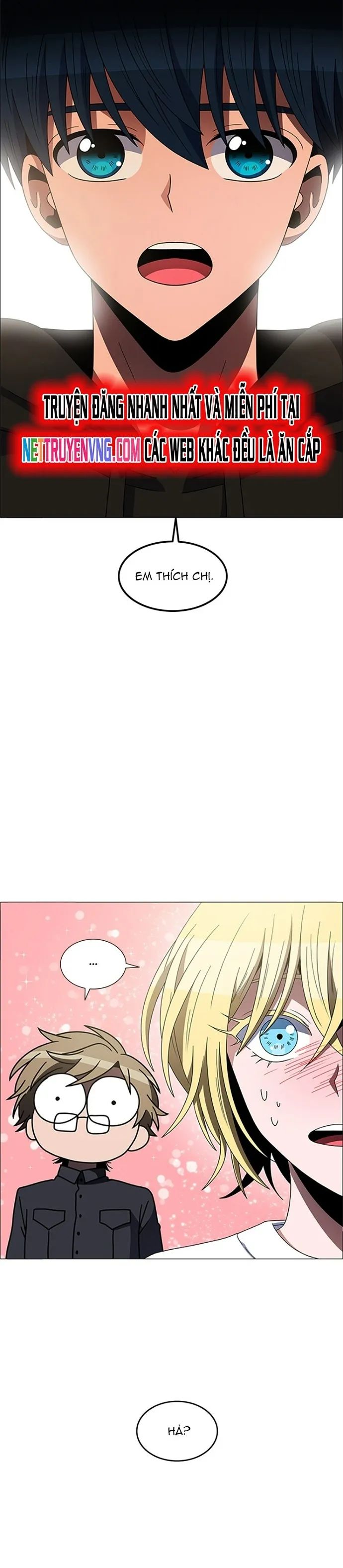 no scope chapter 156 13