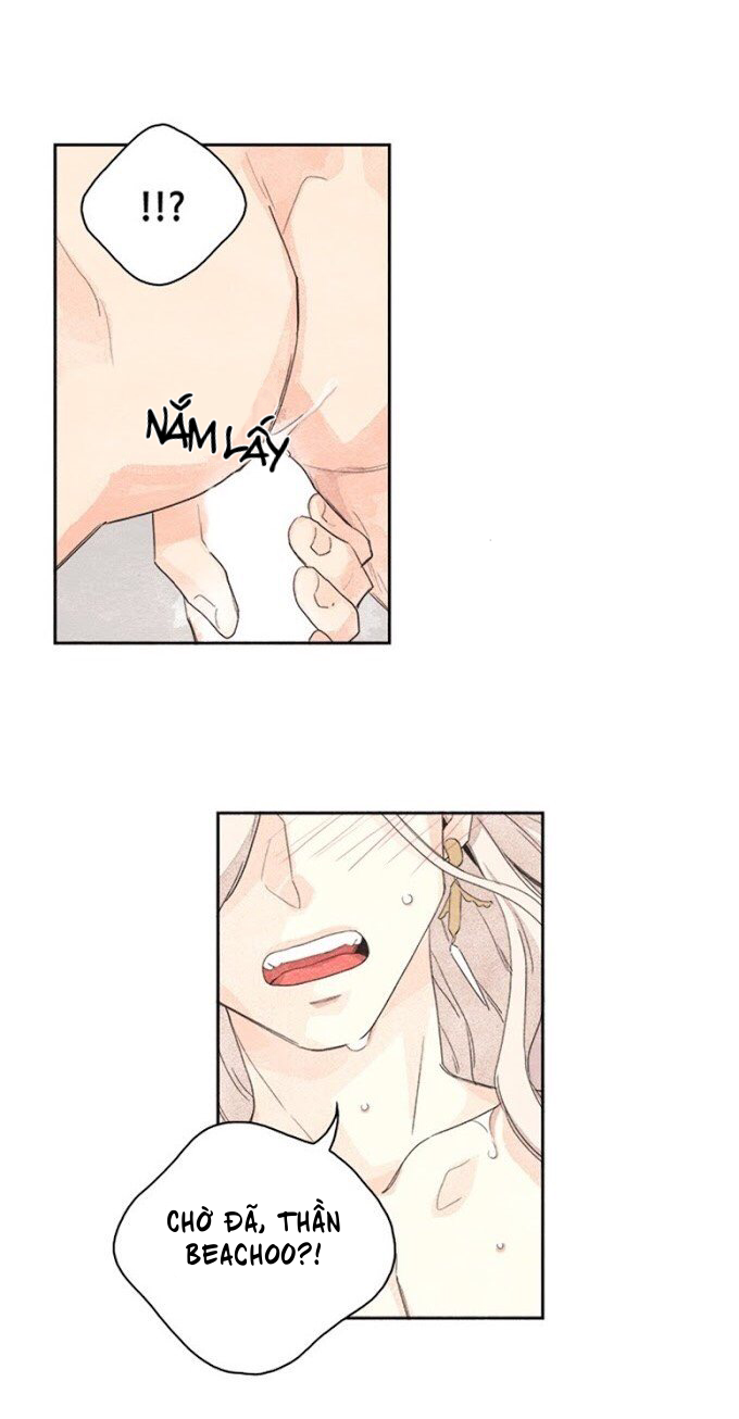 bắp cải bên dưới củ cải chapter 2 18