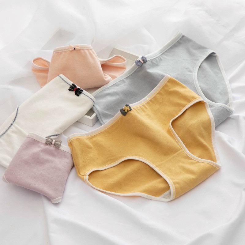 Combo 5 quần lót cotton nơ nhiều màu sắc