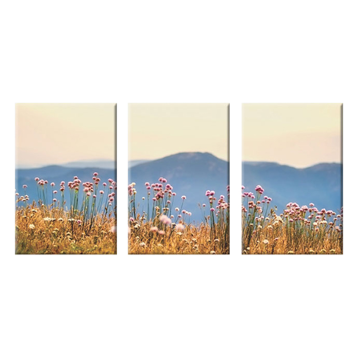 Bộ 3 Tranh Canvas "Đồng Hoa Dại"- W119