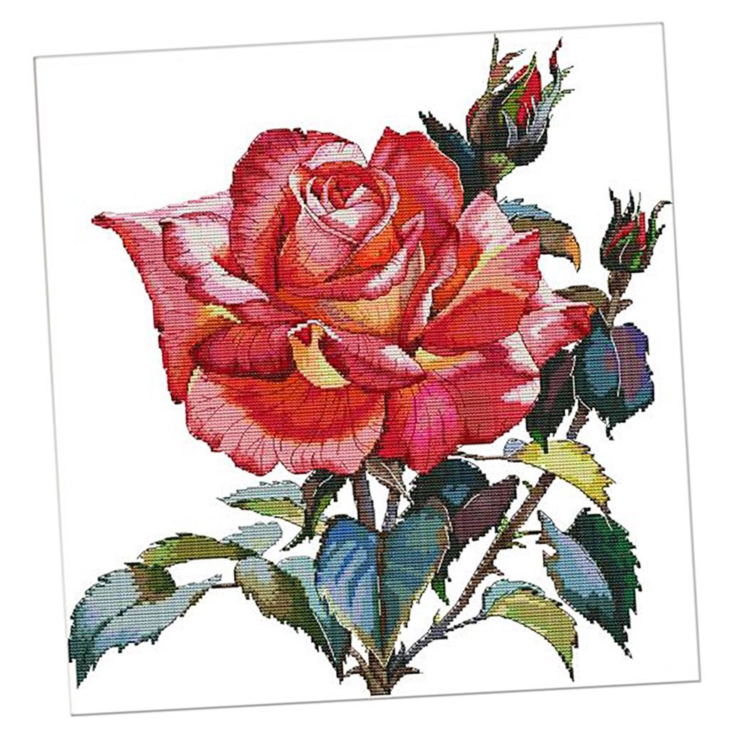 Stamped Cross Stitch Rose Flower Pattern Christmas Gifts 11CT 54x56cm