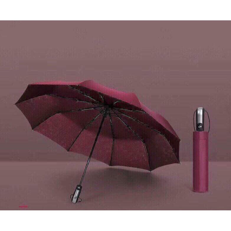 Ô TỰ ĐỘNG NHẬT BẢN 10 XƯƠNG