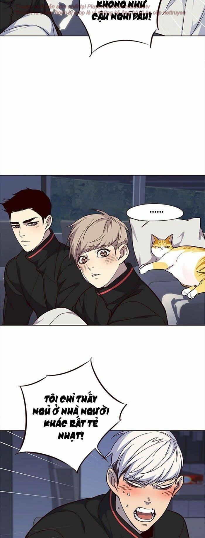 biến thân thành mèo chapter 35 51