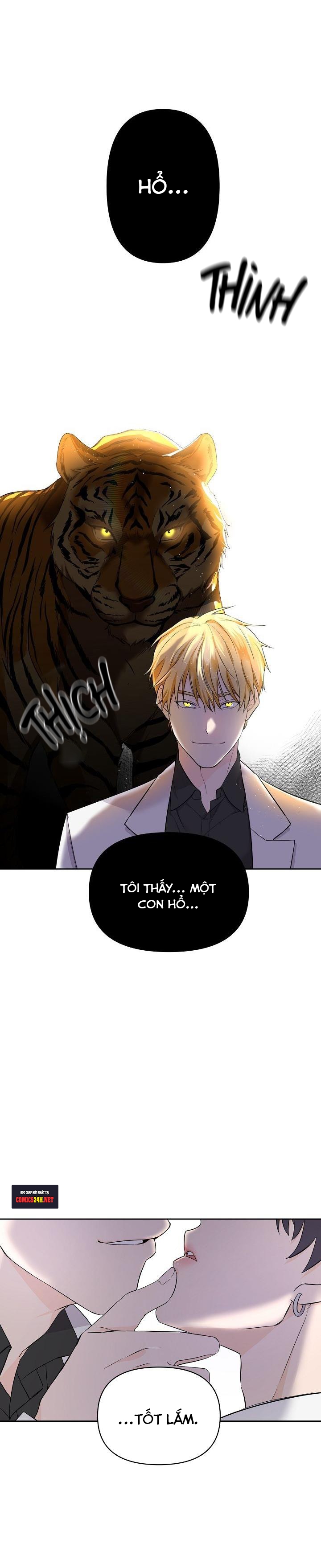 hoa ly hổ chapter 1 22