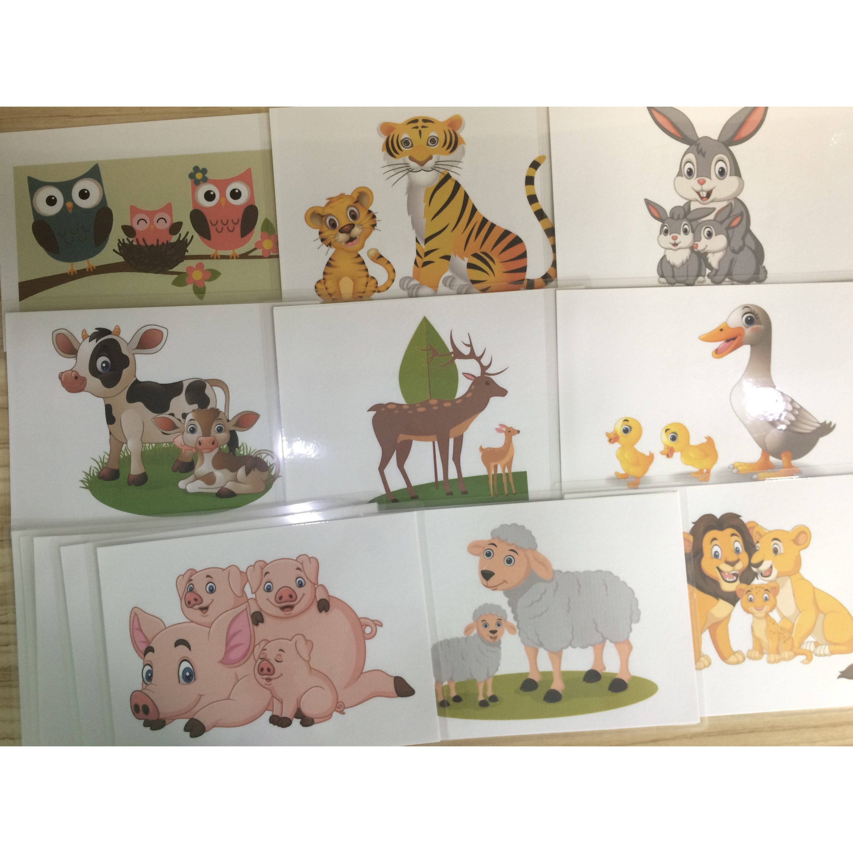 Baby animals' name Flashcards - Thẻ học tiếng Anh chủ đề tên các động vật con - 15 cards: bunny, kitty, duckling, owlet