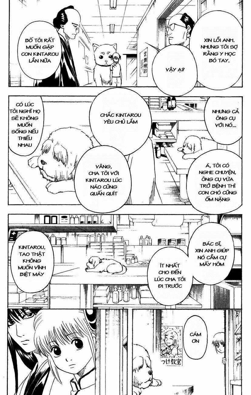 gintama - linh hồn bạc chapter 207 8