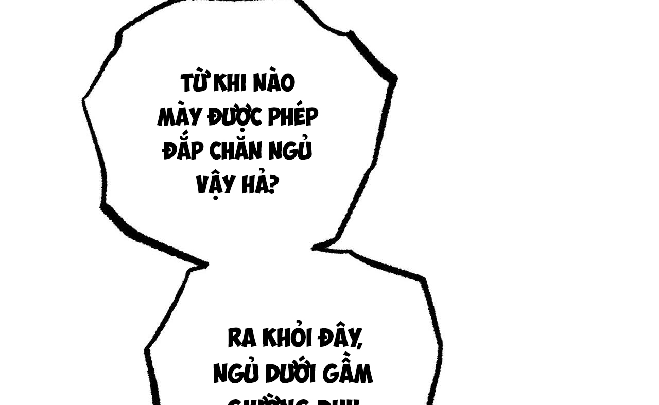 những chú thỏ của hapypy chapter 52 57