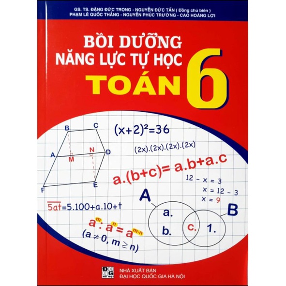 Sách - Bồi dưỡng năng lực tự học Toán 6