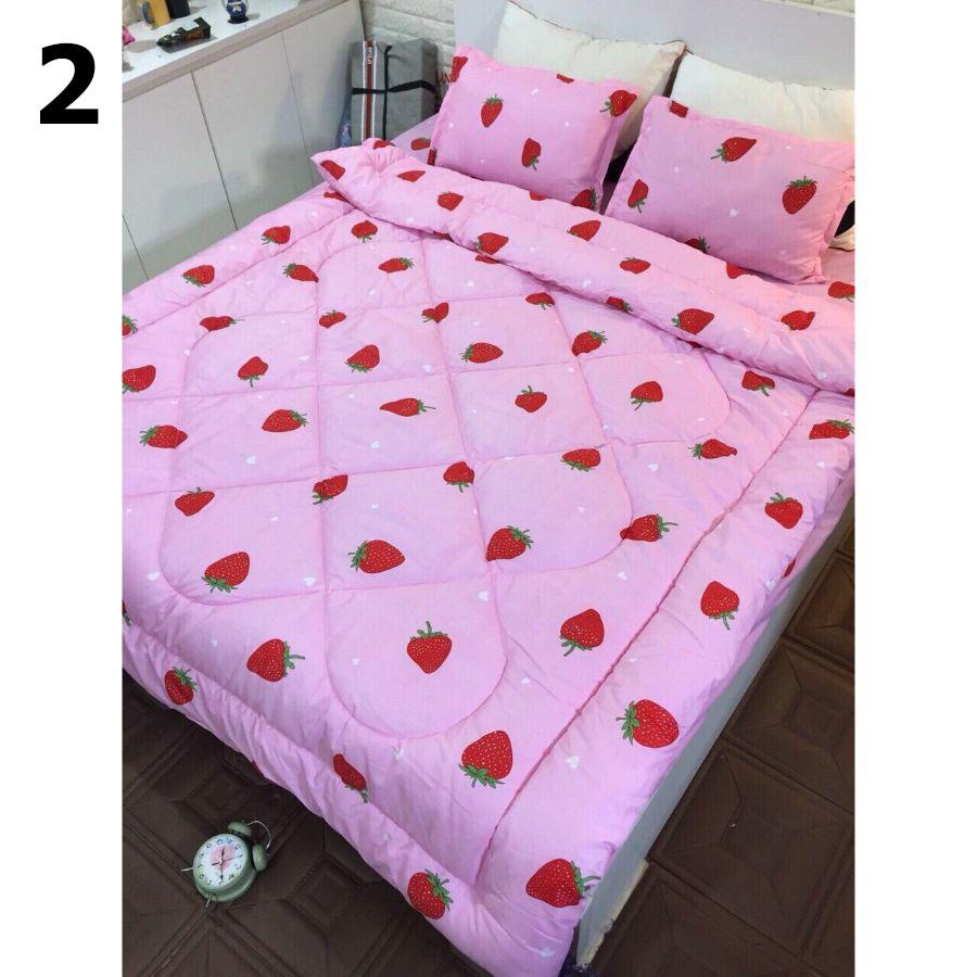 Bộ chăn ga gối vải cotton poly 5 món chăn chần phao loại có ruột bông dày