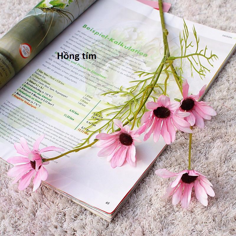 Hoa lụa, hoa cúc họa mi 5b