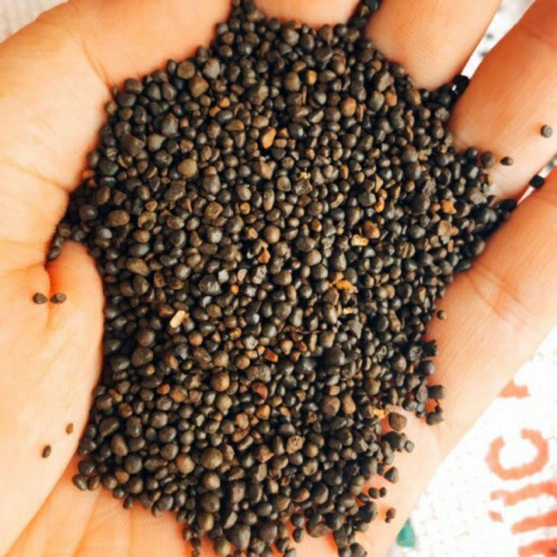 Sỏi Suối Nâu Làm Nền Hồ Cá Hoặc Trải Nền Hồ Thủy Sinh 1Kg