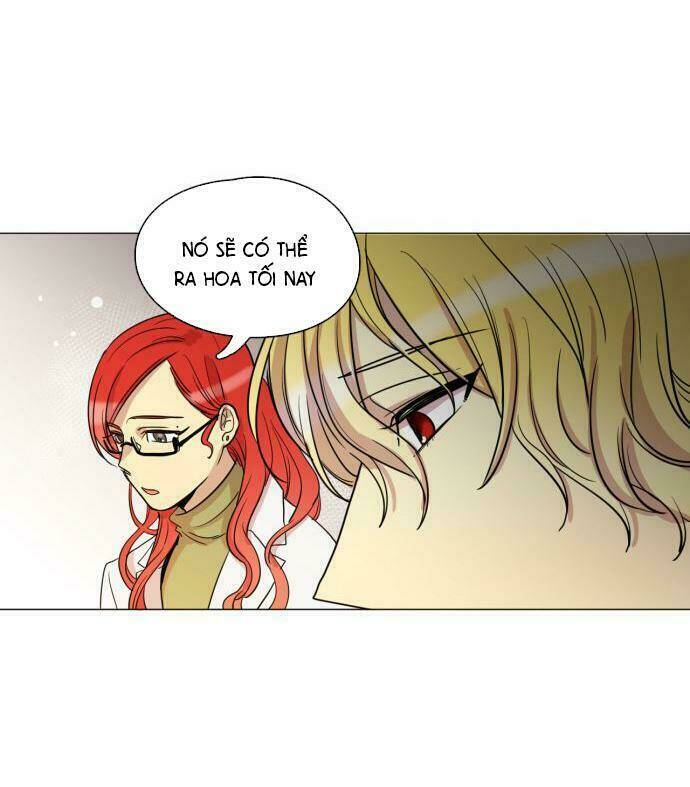 the devil who can't fly chapter 33 33