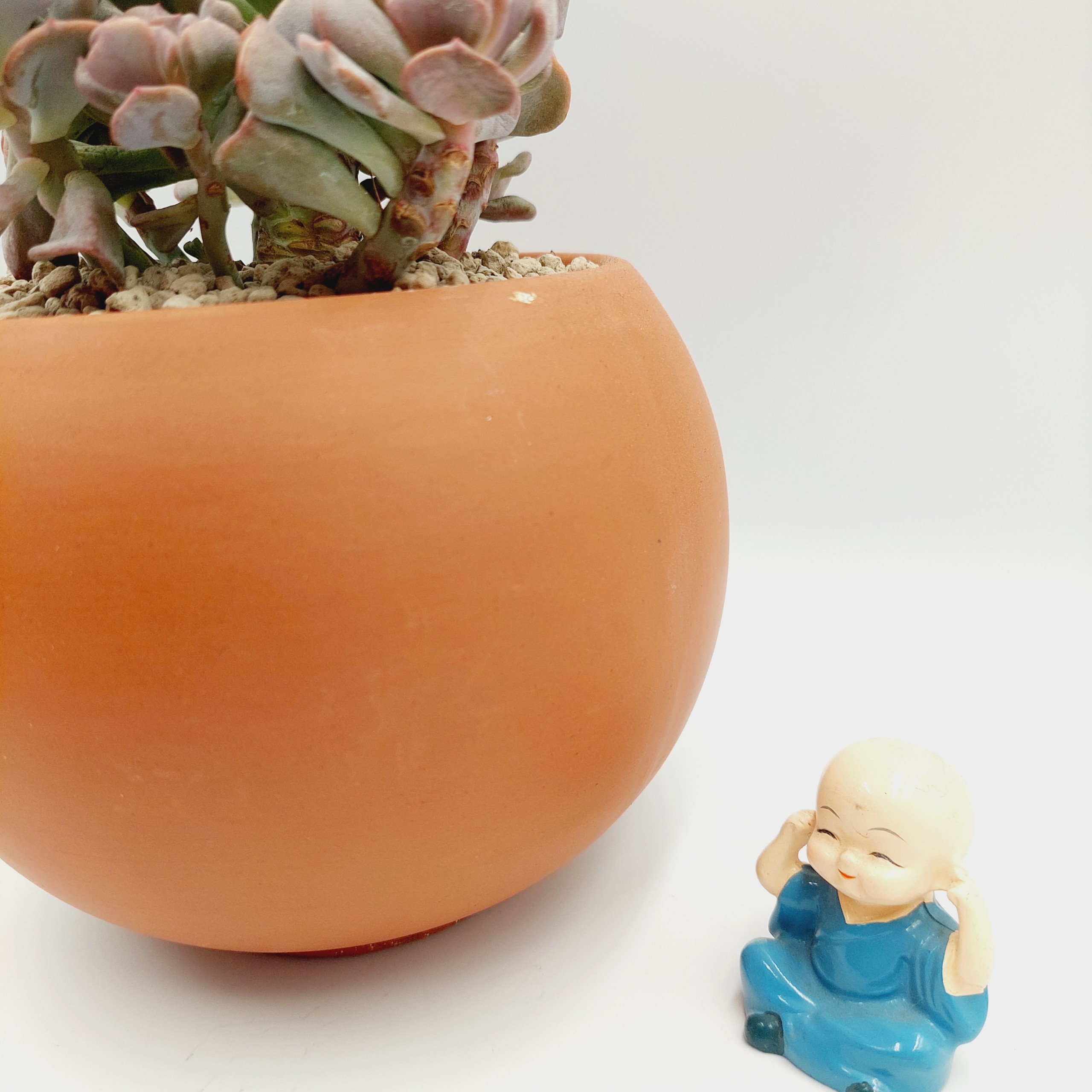 Chậu đất nung, chậu sen đá - A ball succulent 13125, miệng chậu 13cm, chiều cao 12.5cm
